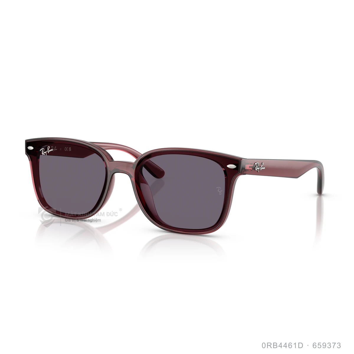 Kính mát Rayban 0RB4461D - Ảnh 22