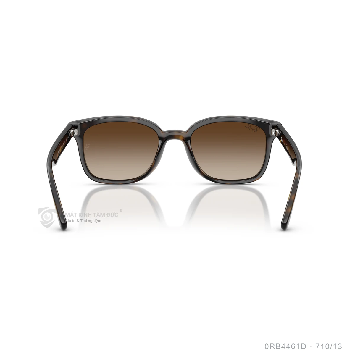 Kính mát Rayban 0RB4461D - Ảnh 30