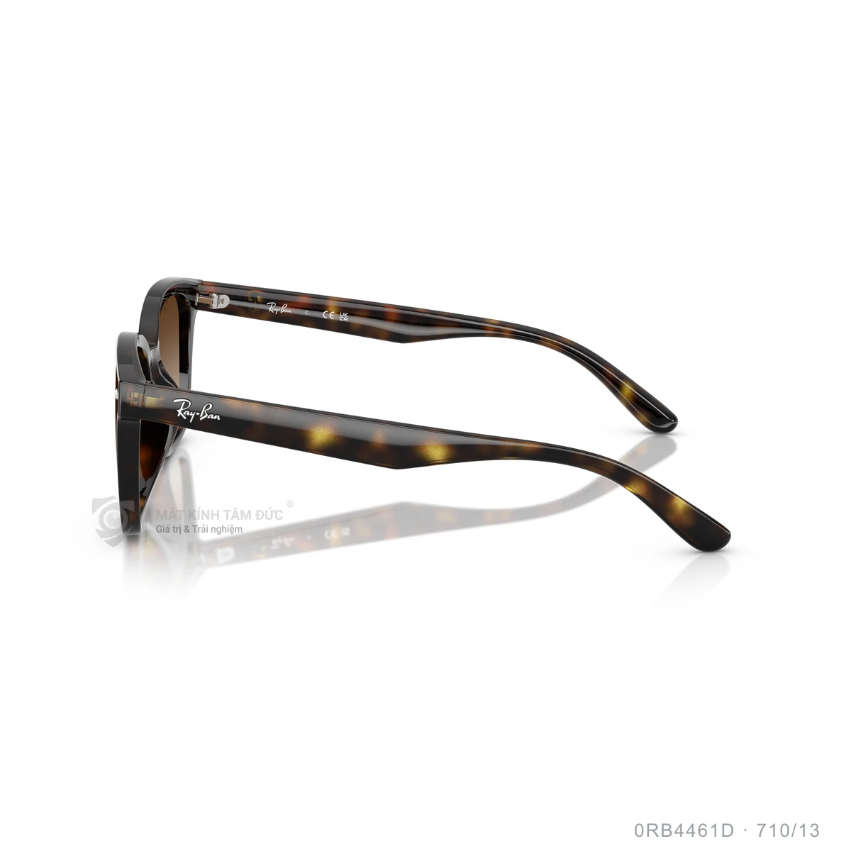 Kính mát Rayban 0RB4461D - Ảnh 29