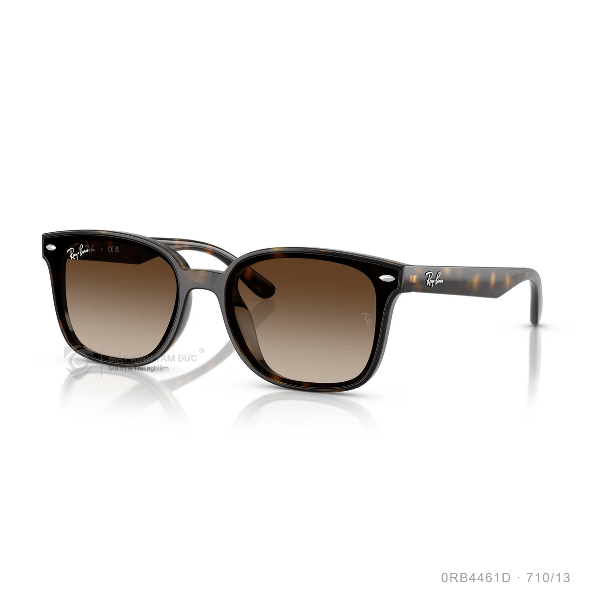 Kính mát Rayban 0RB4461D - Ảnh 27