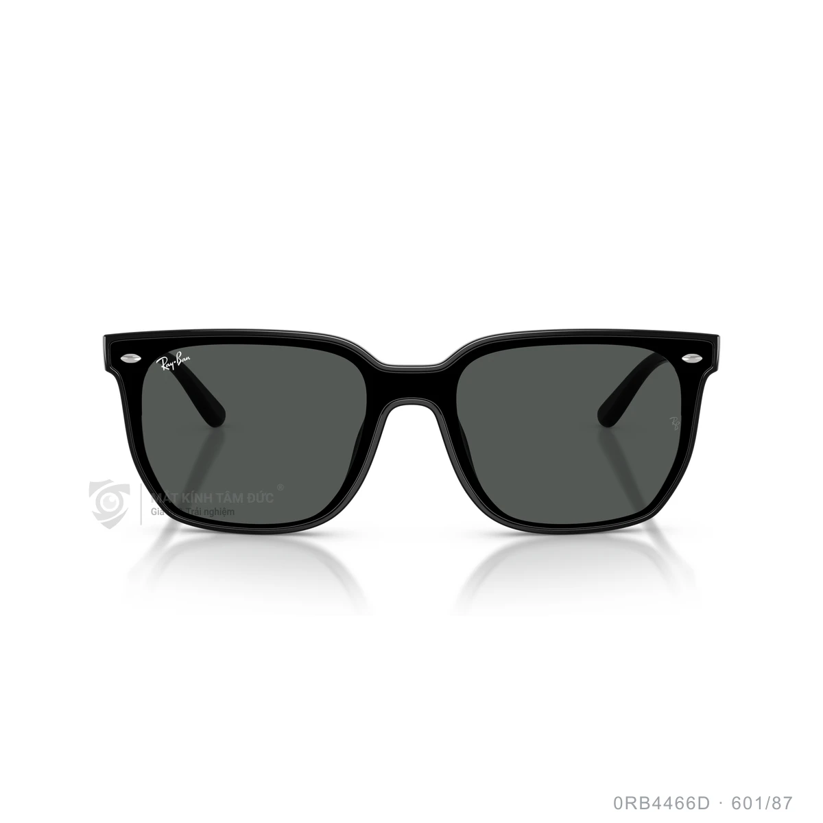 Kính mát Rayban 0RB4466D - Ảnh 11