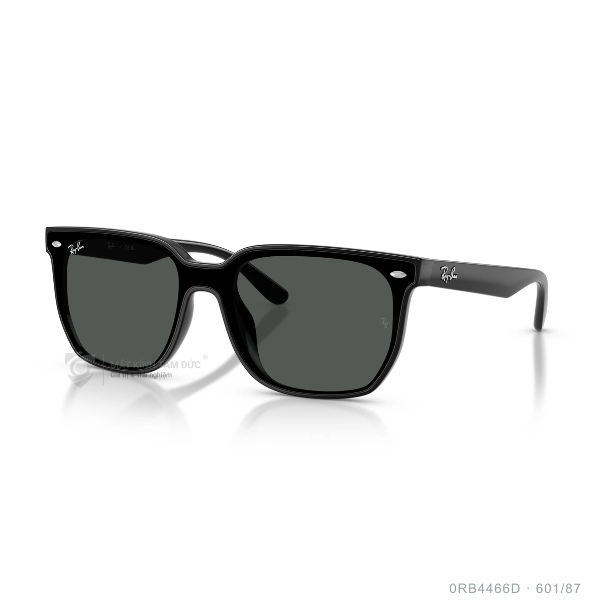 Kính mát Rayban 0RB4466D - Ảnh 12