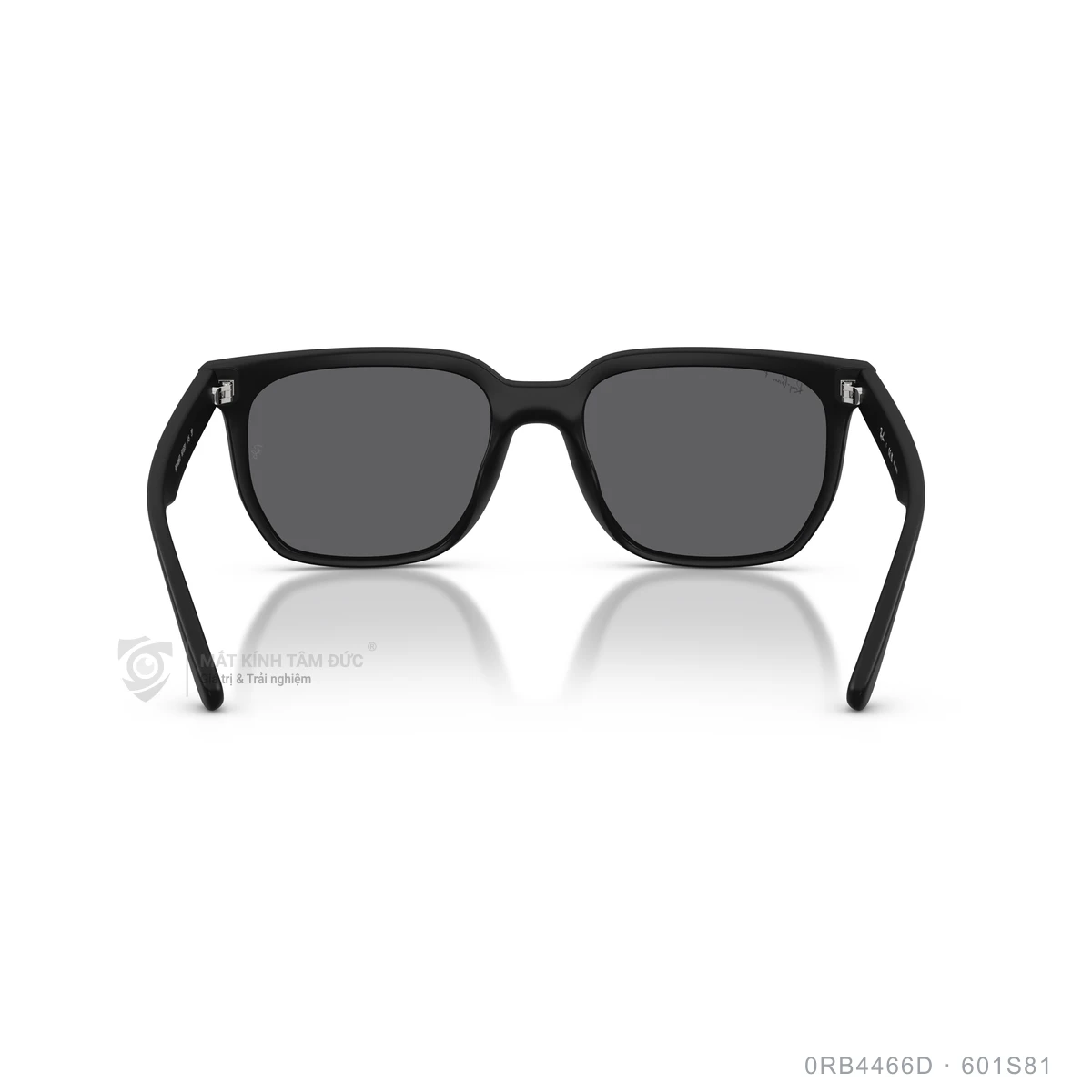Kính mát Rayban 0RB4466D - Ảnh 20