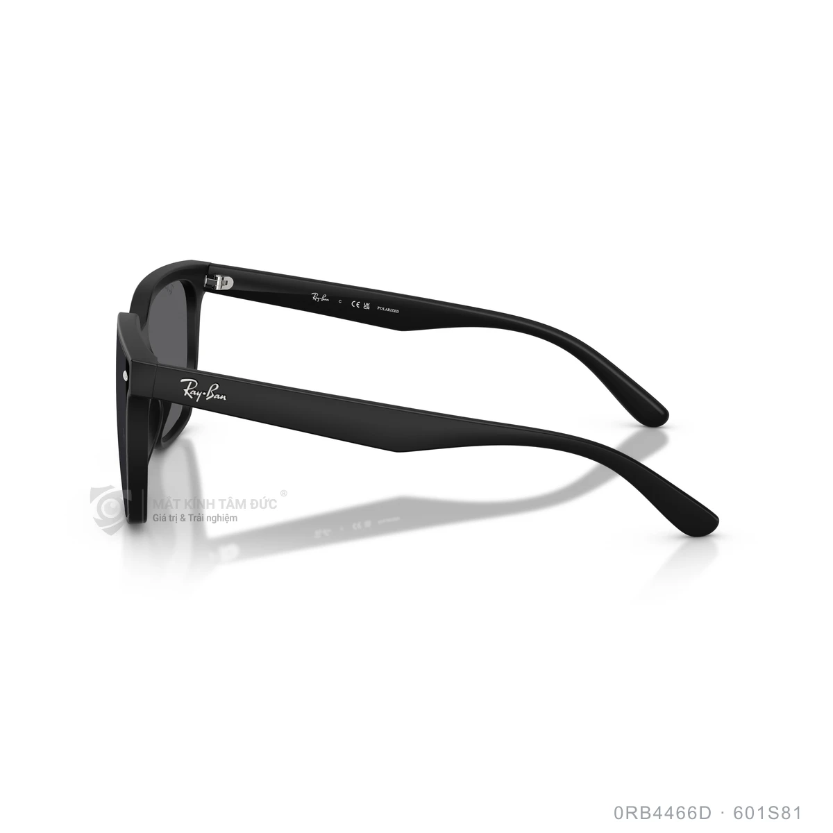 Kính mát Rayban 0RB4466D - Ảnh 19