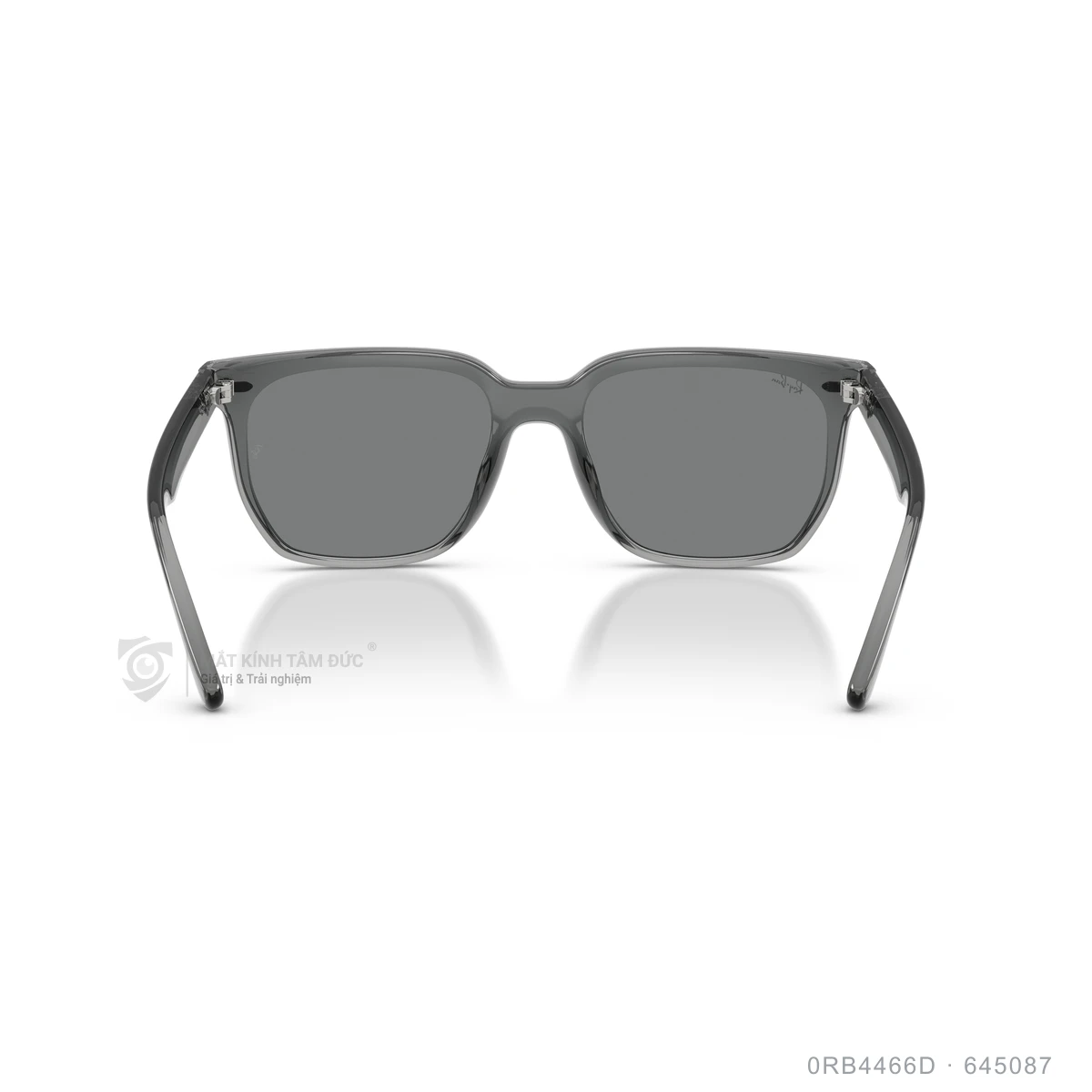 Kính mát Rayban 0RB4466D - Ảnh 25