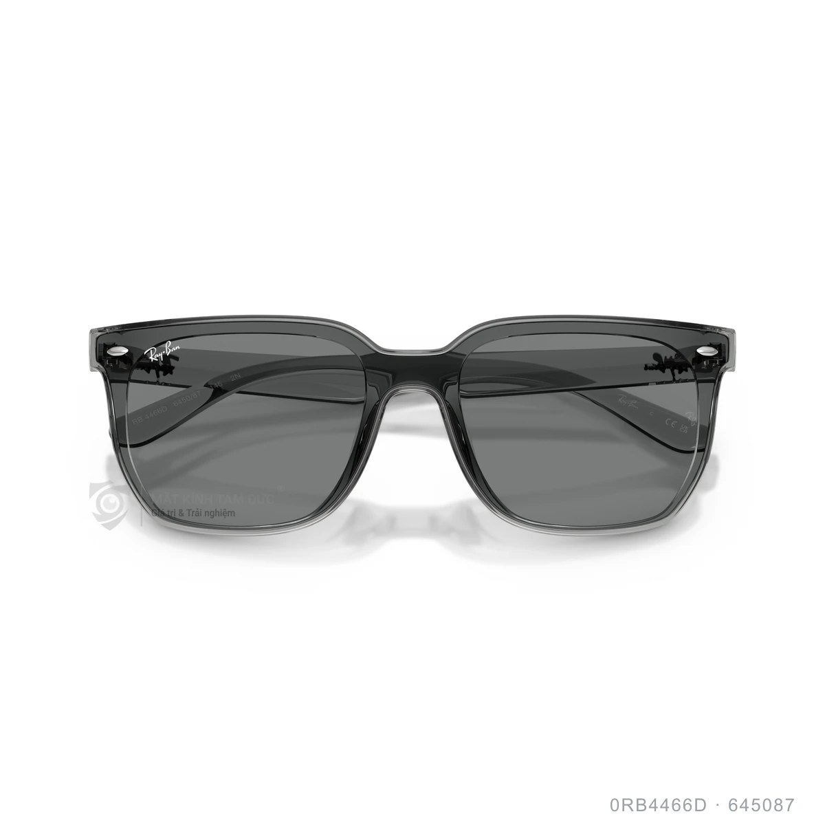 Kính mát Rayban 0RB4466D - Ảnh 23