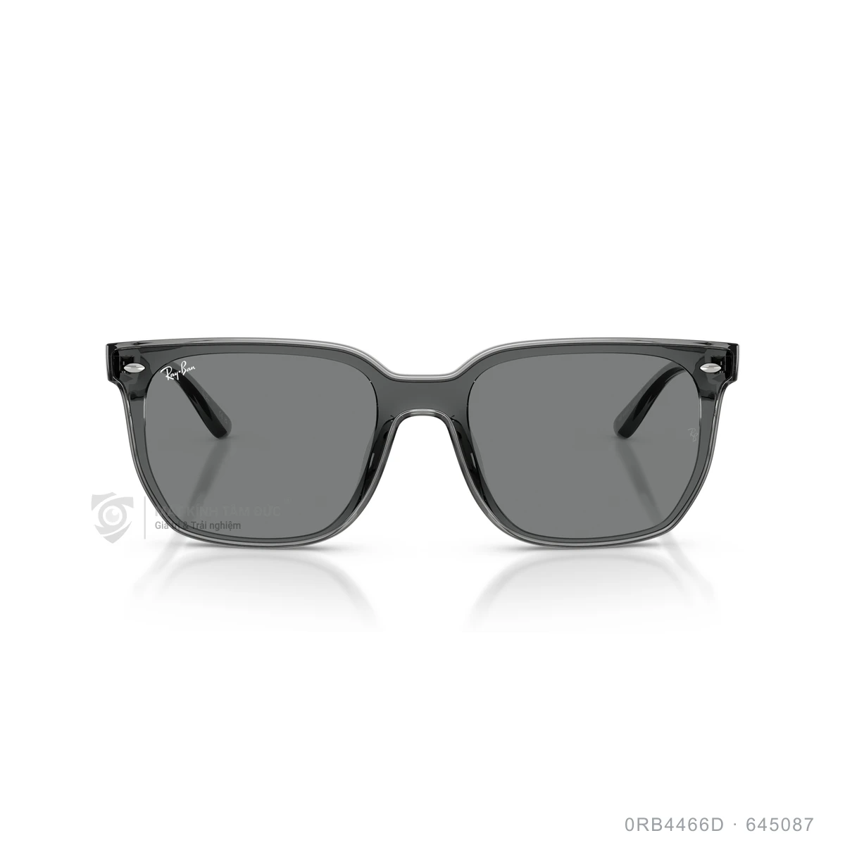 Kính mát Rayban 0RB4466D - Ảnh 21