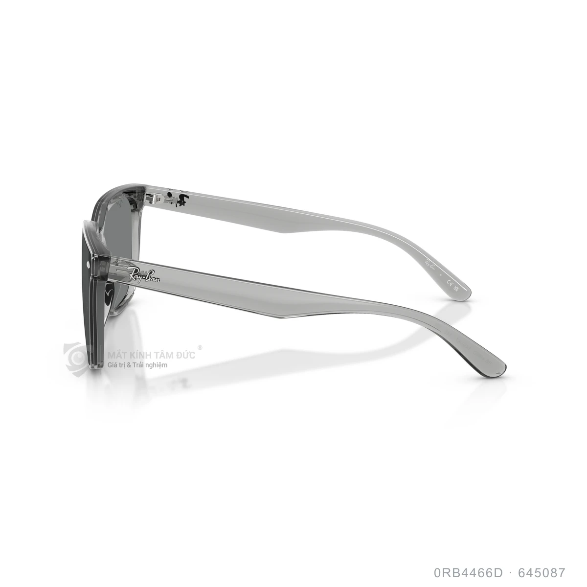 Kính mát Rayban 0RB4466D - Ảnh 24