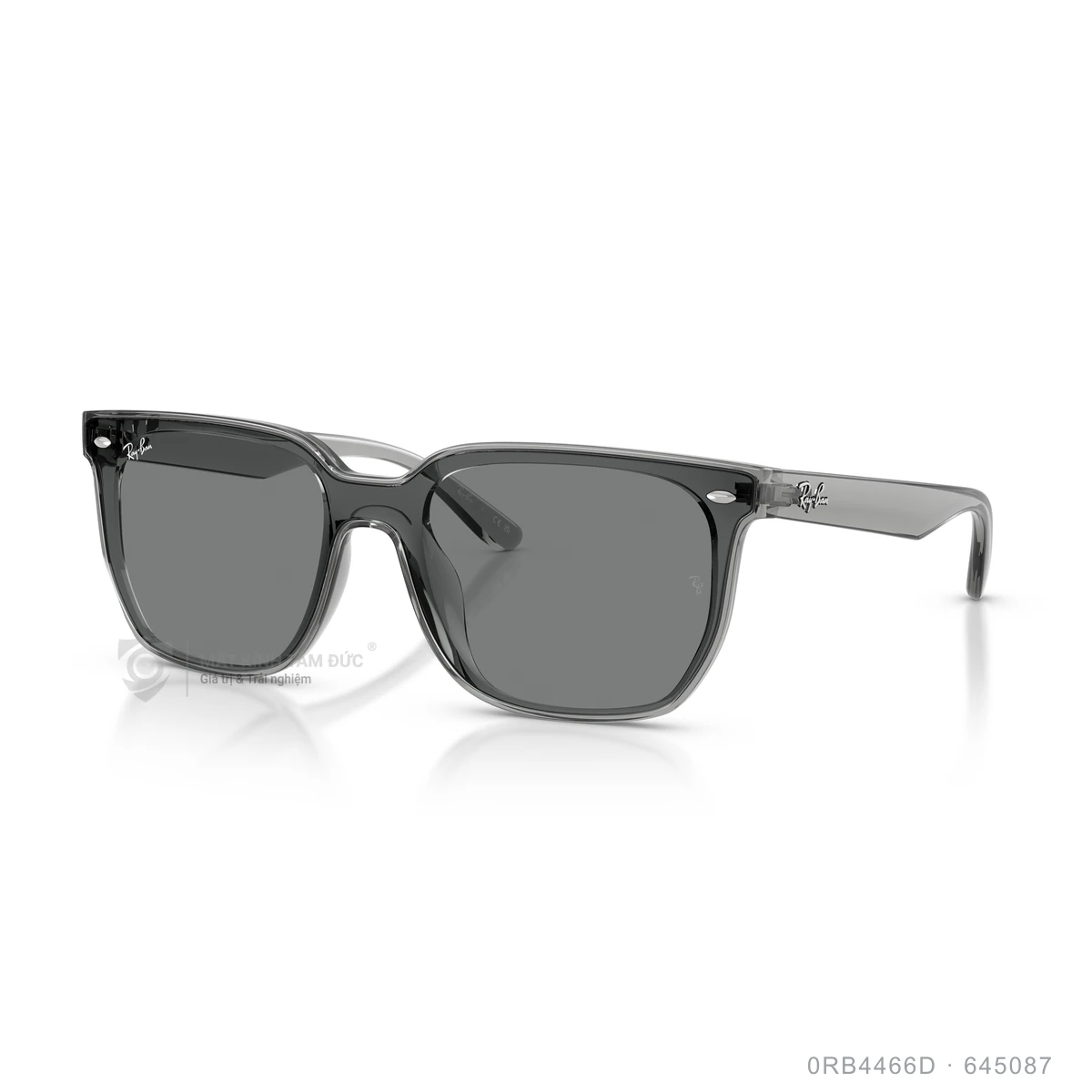 Kính mát Rayban 0RB4466D - Ảnh 22