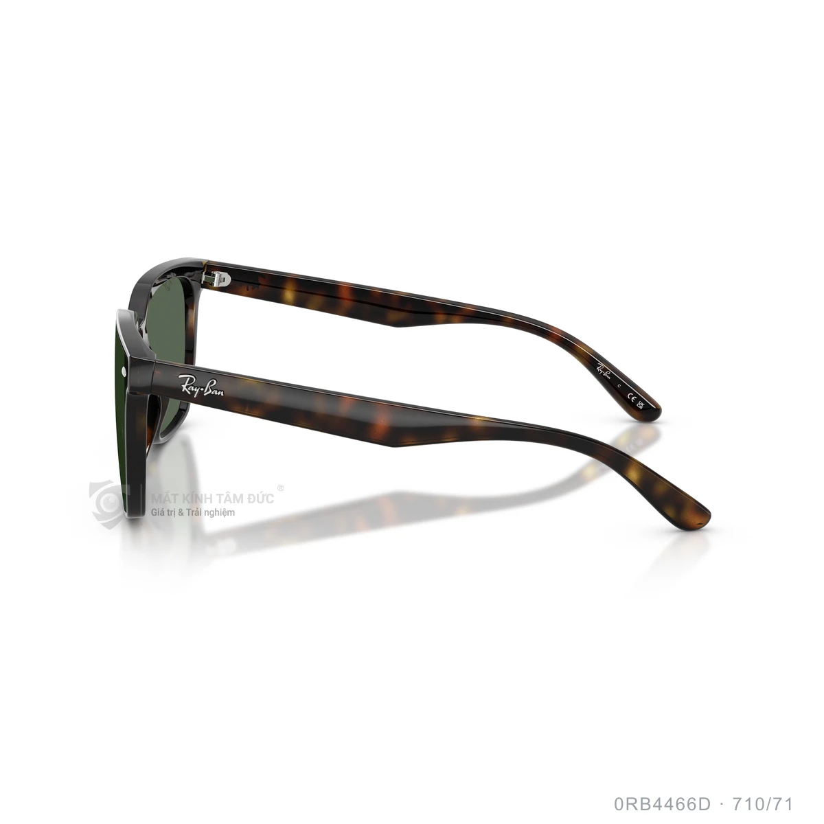 Kính mát Rayban 0RB4466D - Ảnh 4