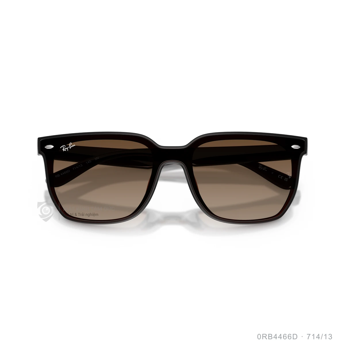 Kính mát Rayban 0RB4466D - Ảnh 28