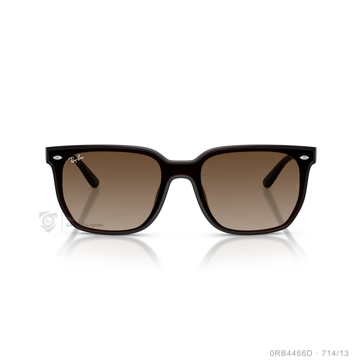 Kính mát Rayban 0RB4466D - Ảnh 26