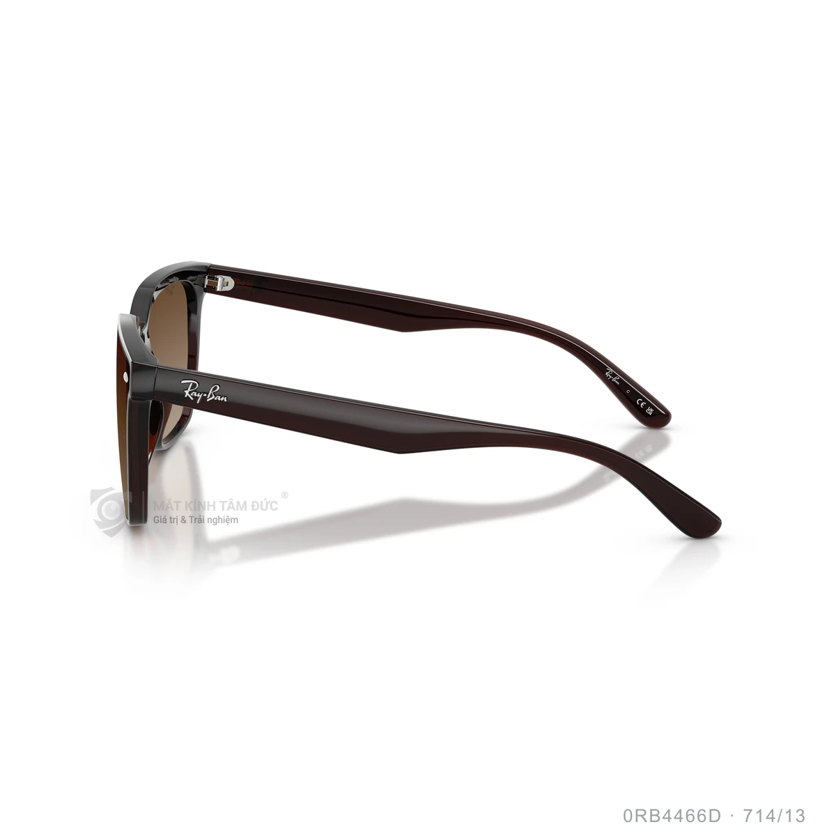 Kính mát Rayban 0RB4466D - Ảnh 29
