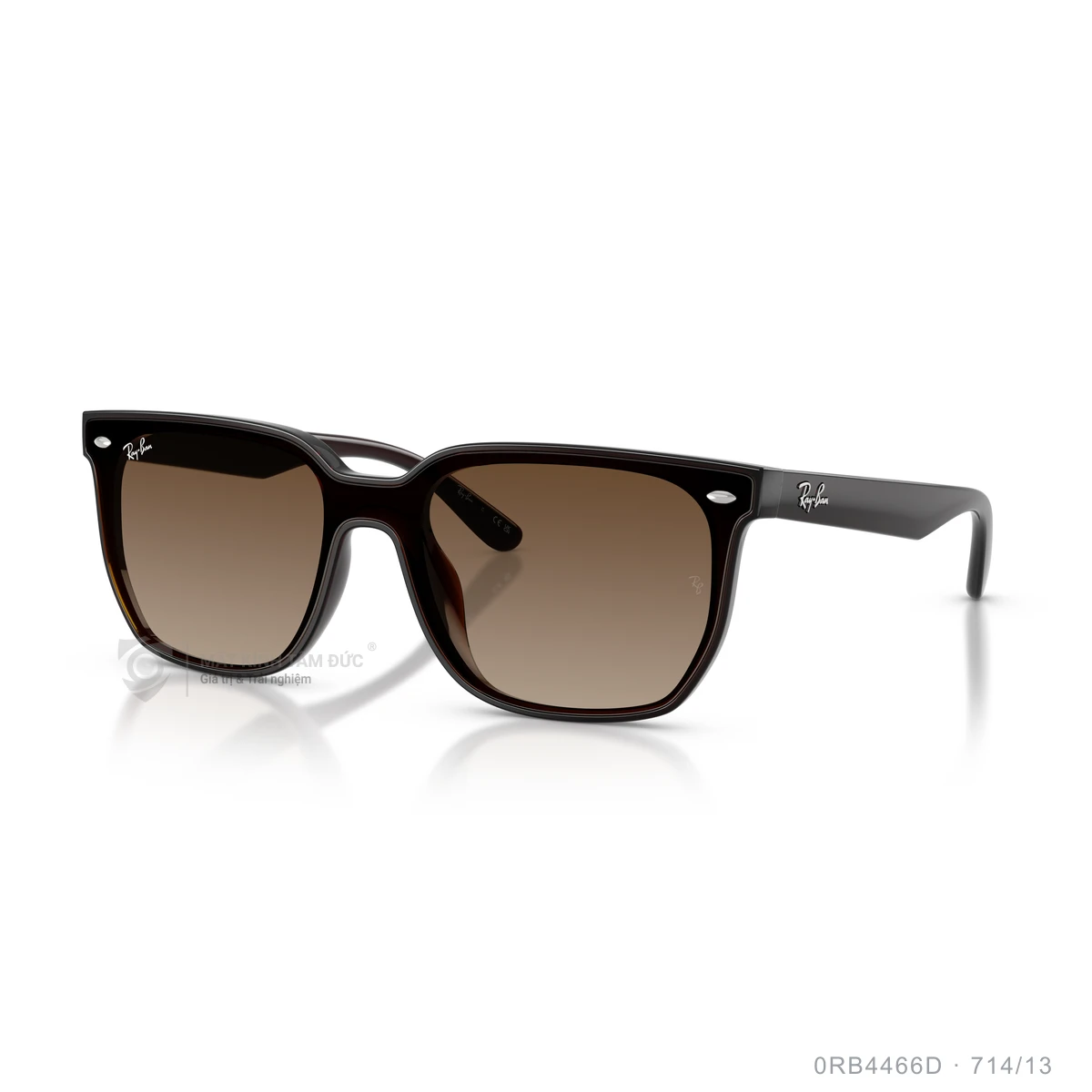 Kính mát Rayban 0RB4466D - Ảnh 27