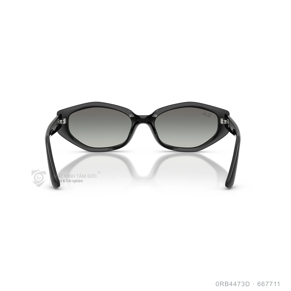 Kính mát Rayban 0RB4473D - Ảnh 10