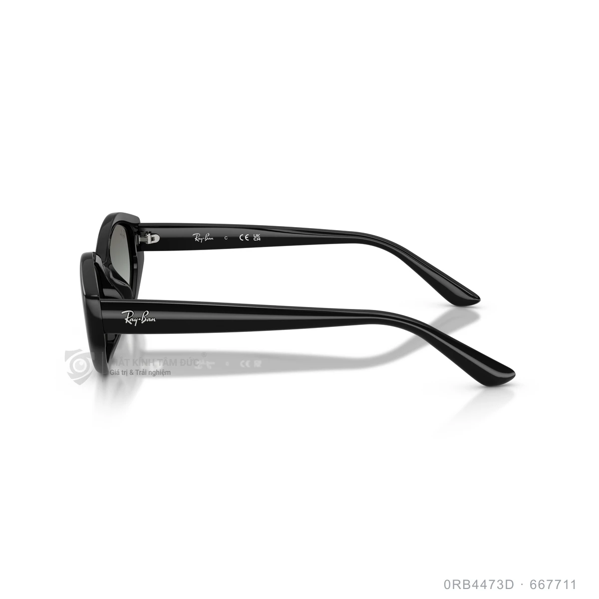 Kính mát Rayban 0RB4473D - Ảnh 9