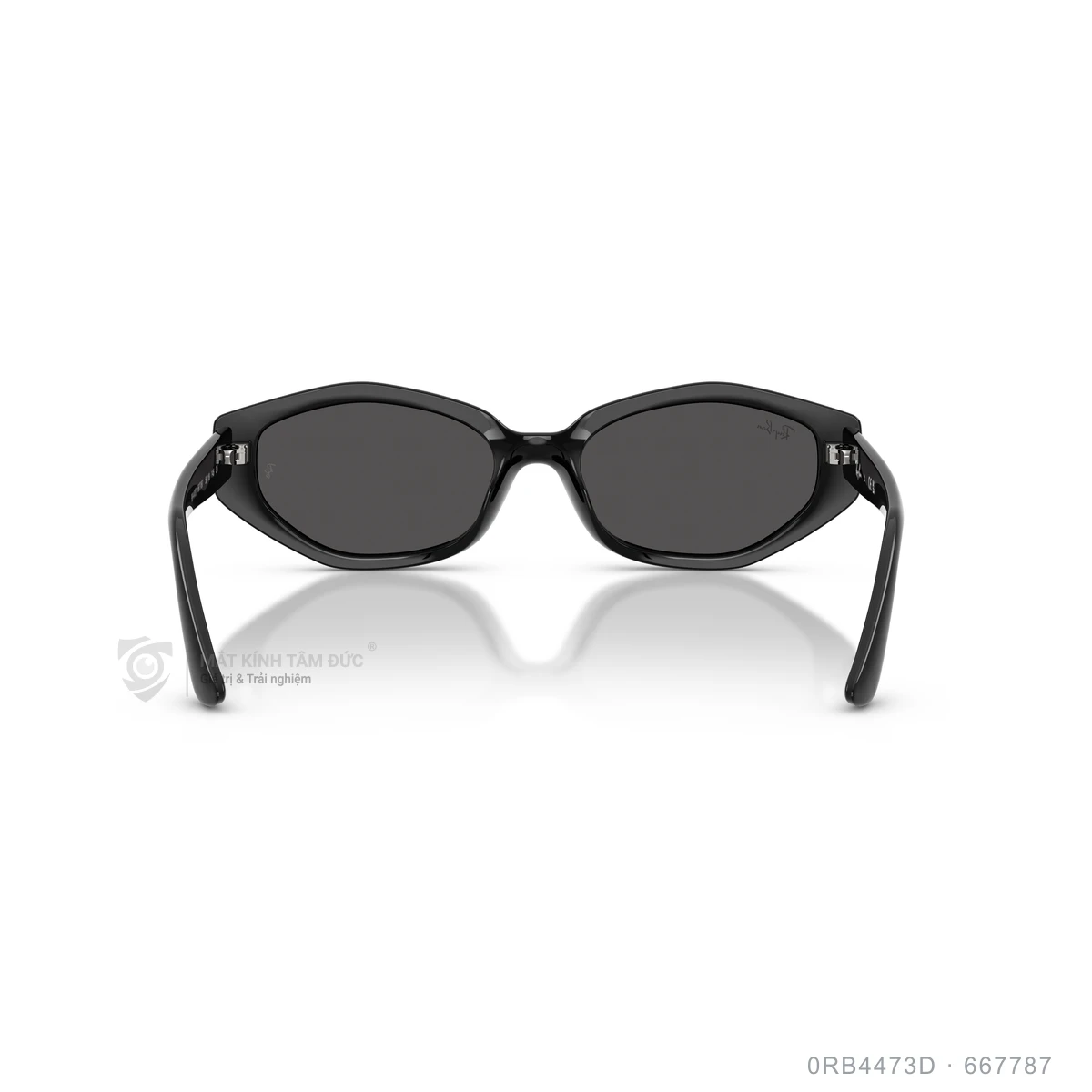 Kính mát Rayban 0RB4473D - Ảnh 5