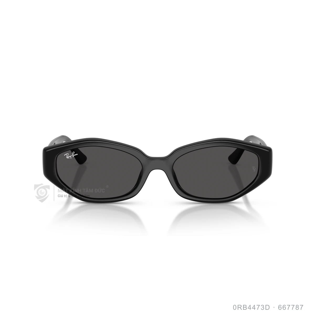 Hình ảnh thực tế Kính mát Rayban 0RB4473D