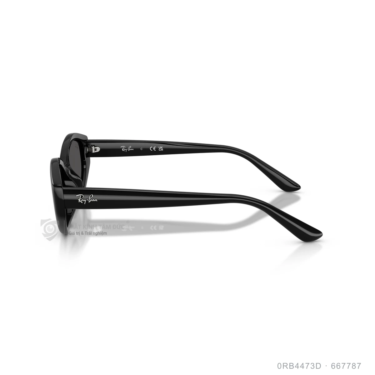 Kính mát Rayban 0RB4473D - Ảnh 4