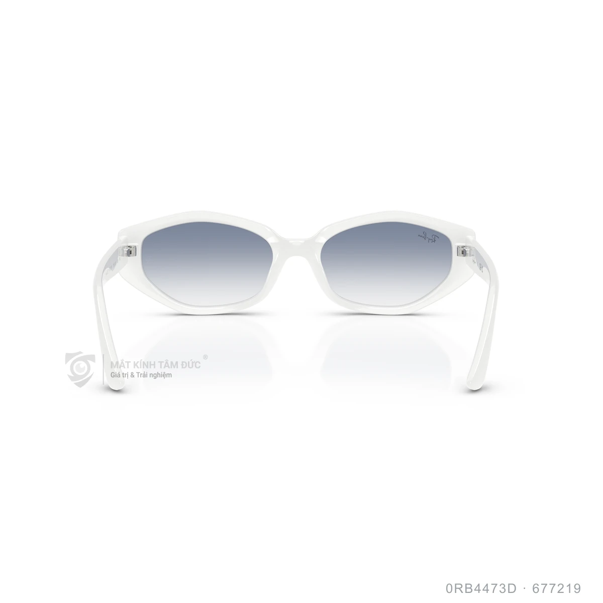 Kính mát Rayban 0RB4473D - Ảnh 15