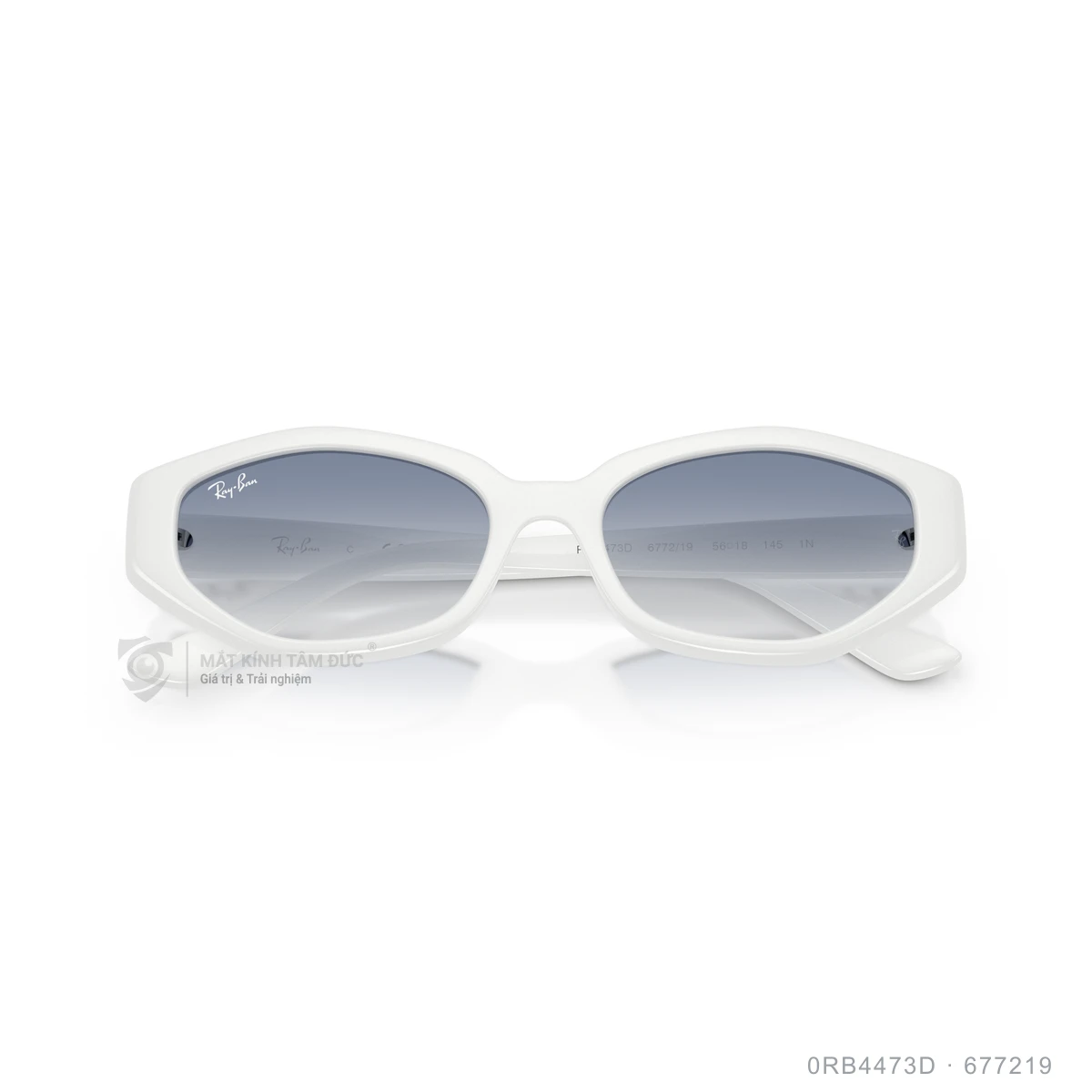 Kính mát Rayban 0RB4473D - Ảnh 13