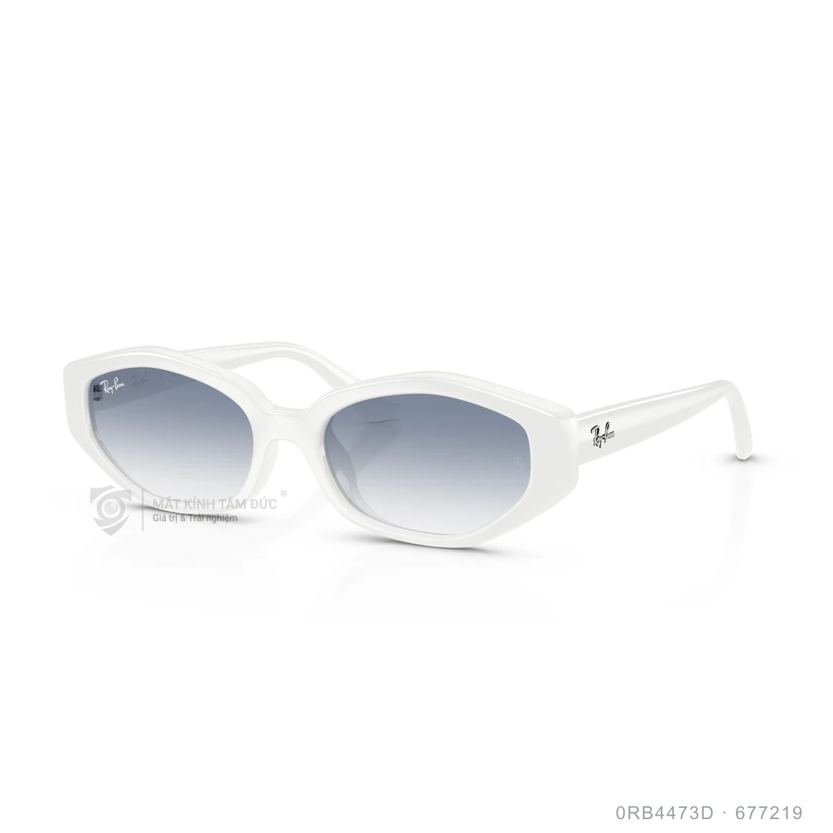 Kính mát Rayban 0RB4473D - Ảnh 12
