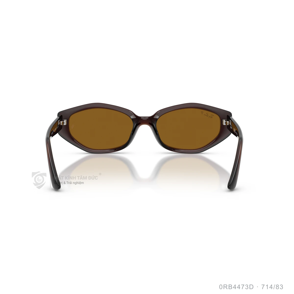 Kính mát Rayban 0RB4473D - Ảnh 20