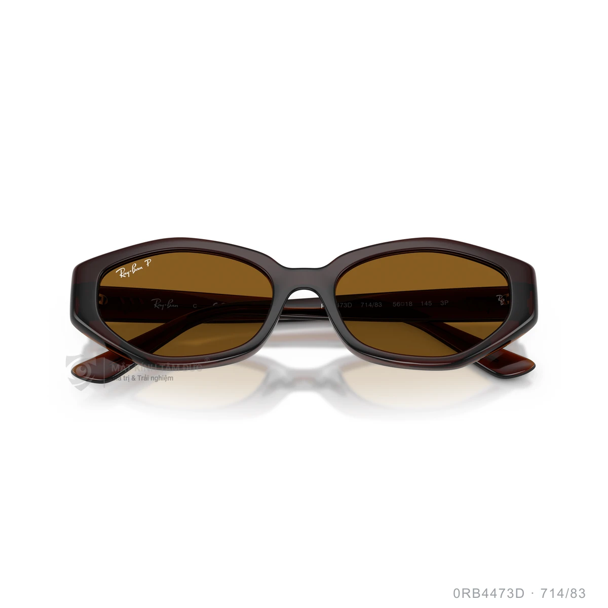 Kính mát Rayban 0RB4473D - Ảnh 18