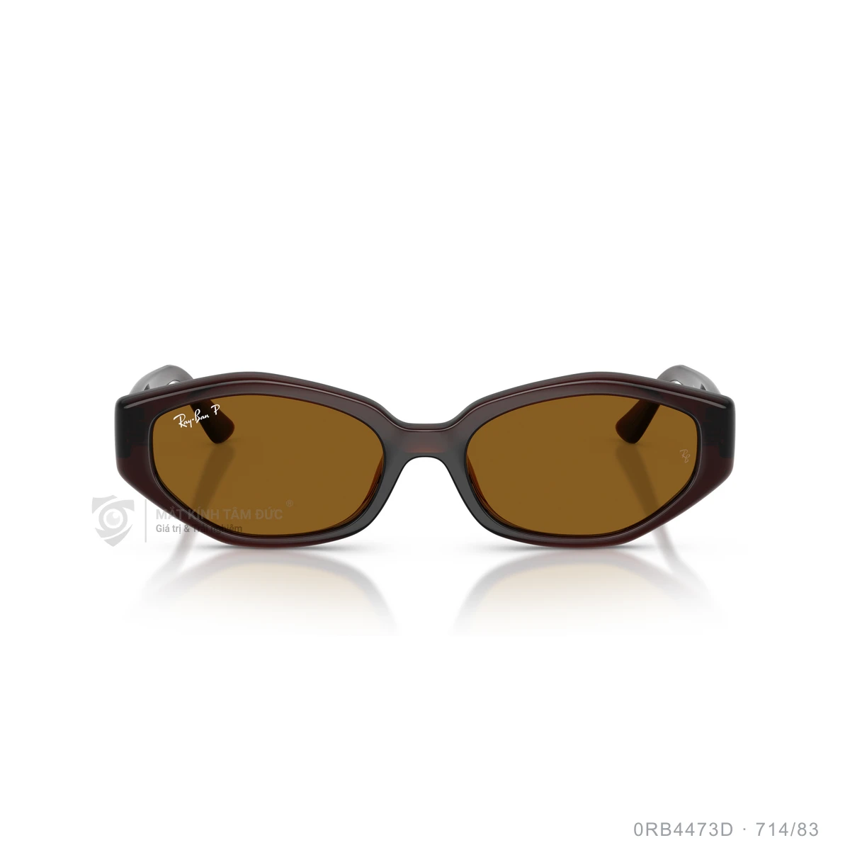 Kính mát Rayban 0RB4473D - Ảnh 16