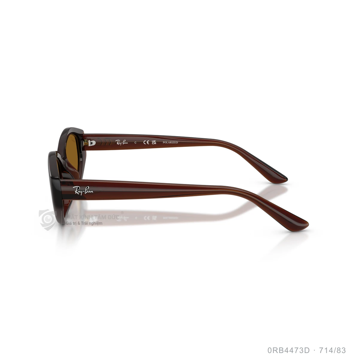 Kính mát Rayban 0RB4473D - Ảnh 19