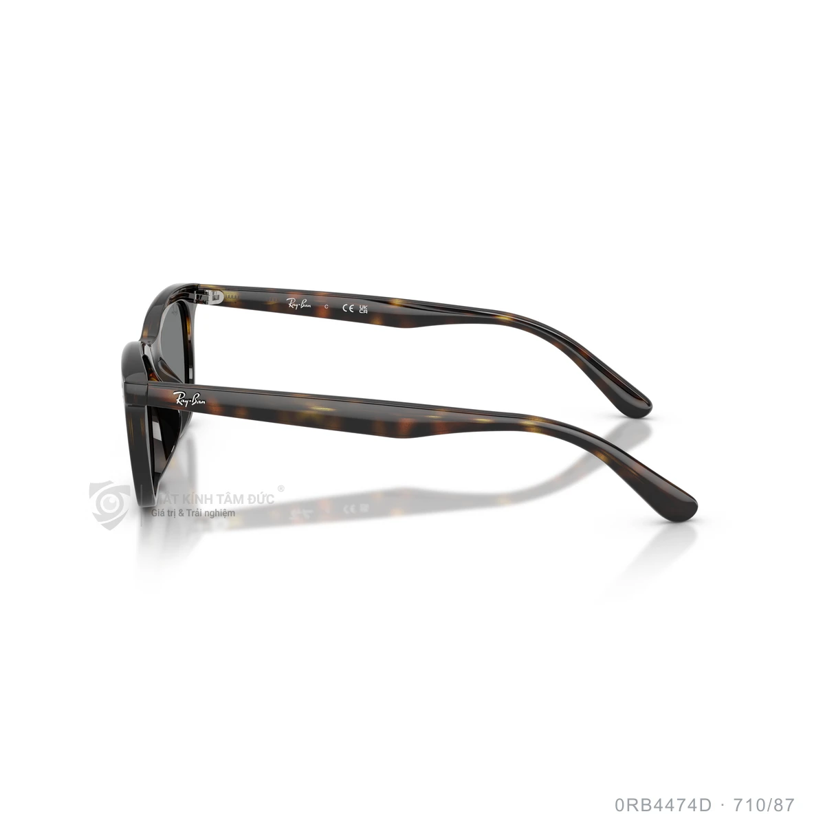 Kính mát Rayban 0RB4474D - Ảnh 19