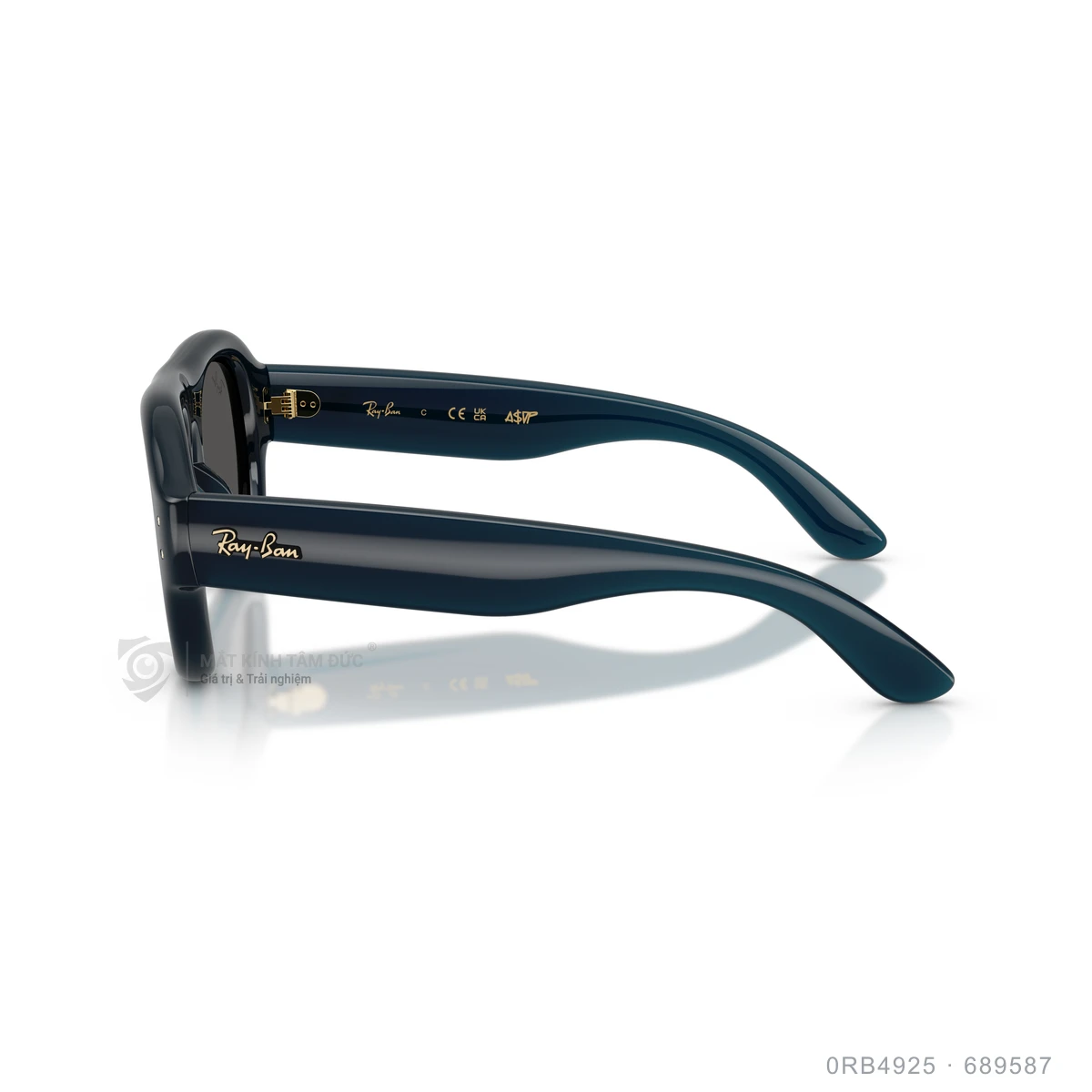 Kính mát Rayban 0RB4925 - Ảnh 19