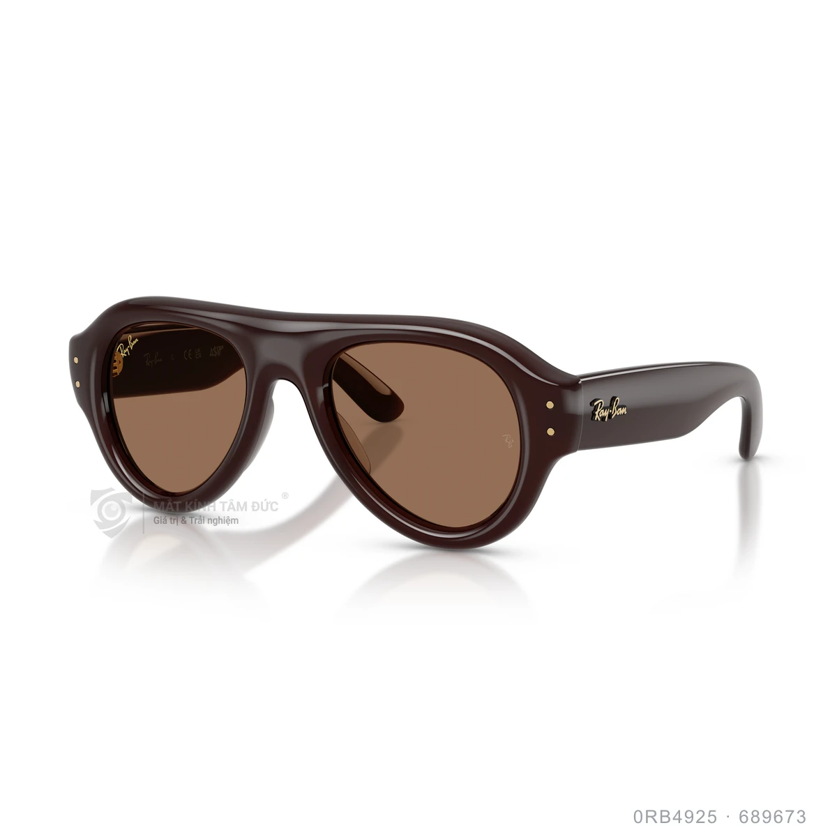Kính mát Rayban 0RB4925 - Ảnh 22