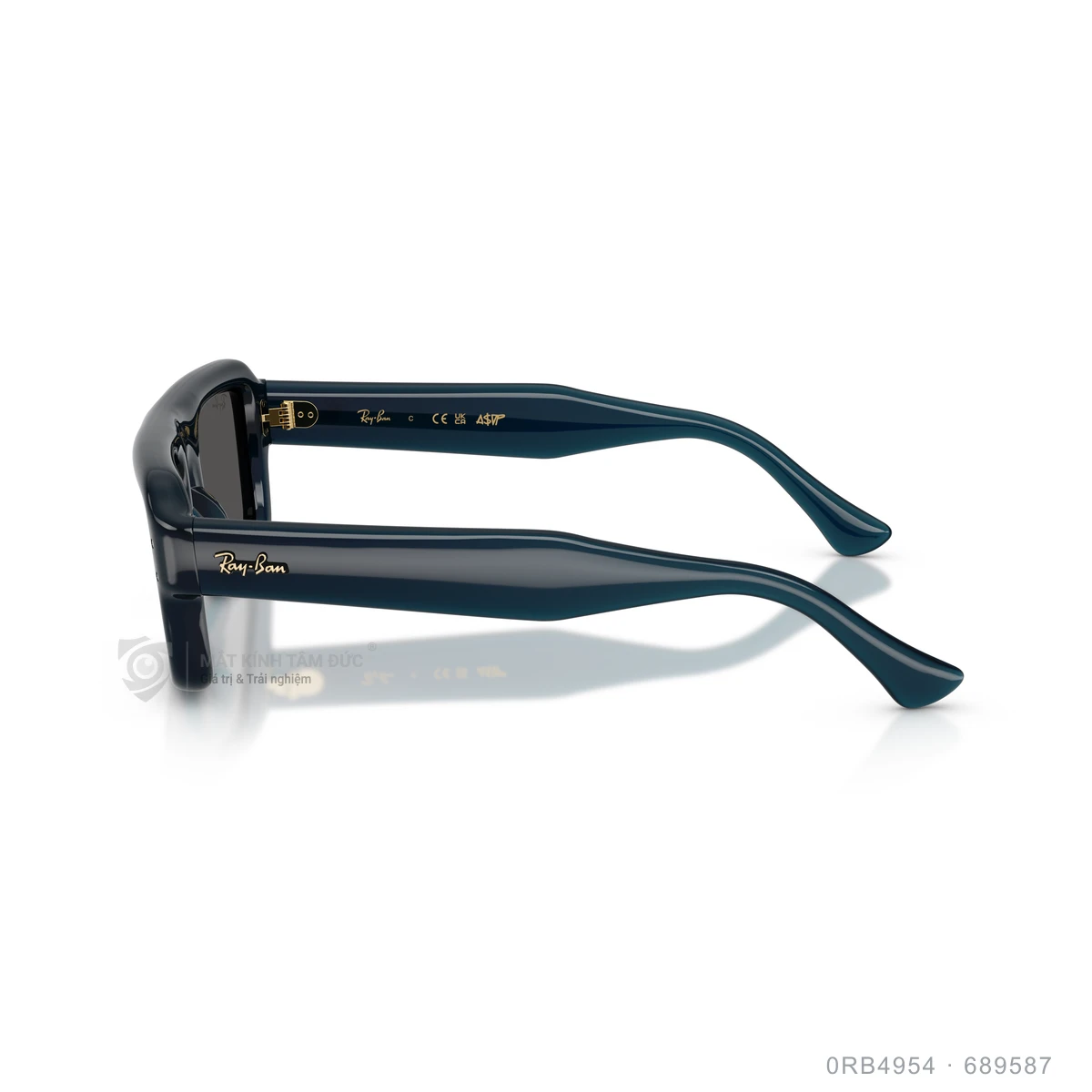 Kính mát Rayban 0RB4954 - Ảnh 19