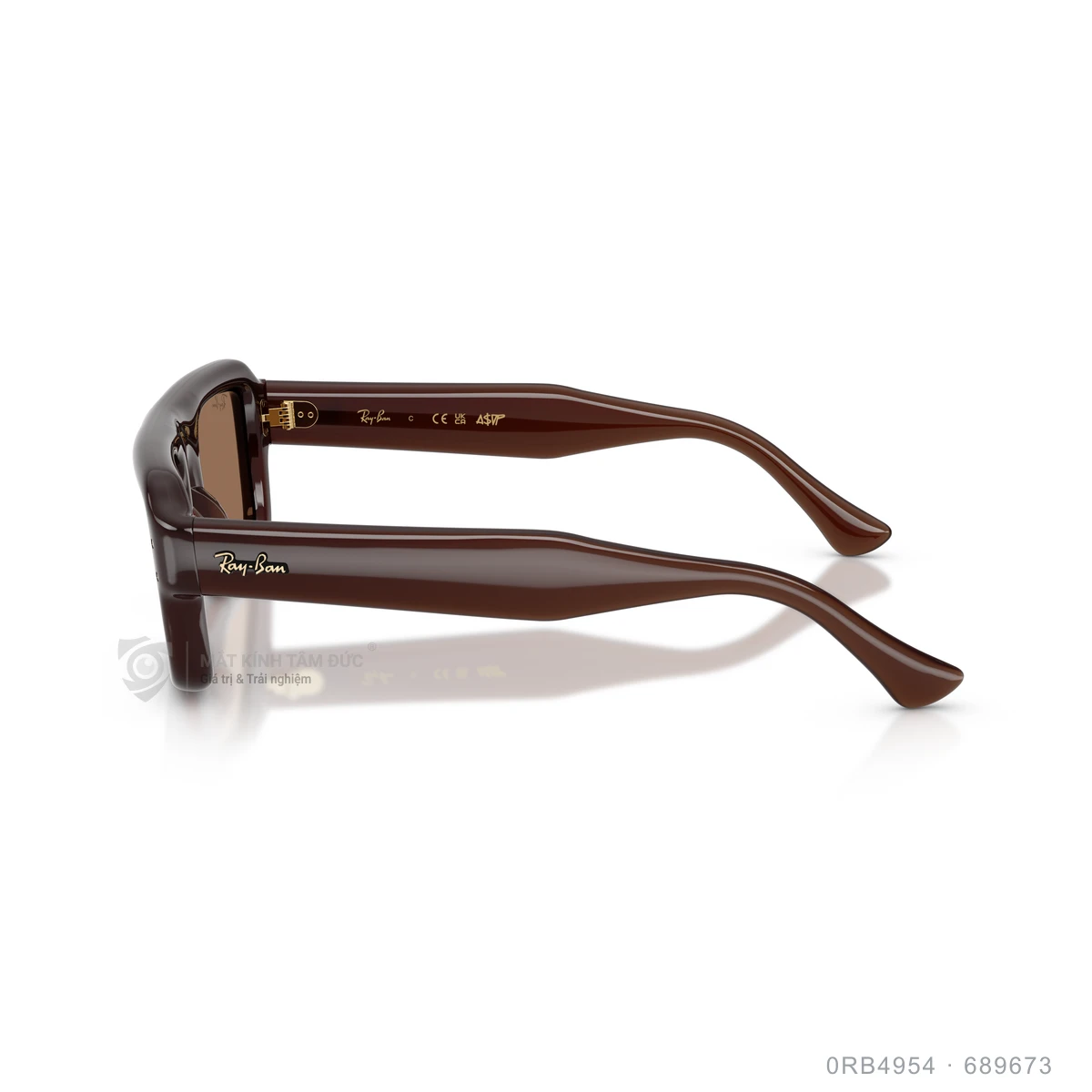 Kính mát Rayban 0RB4954 - Ảnh 24