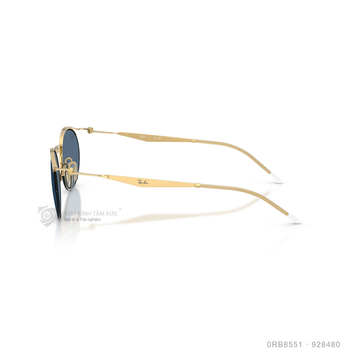 Kính mát Rayban 0RB8551 - Ảnh 14