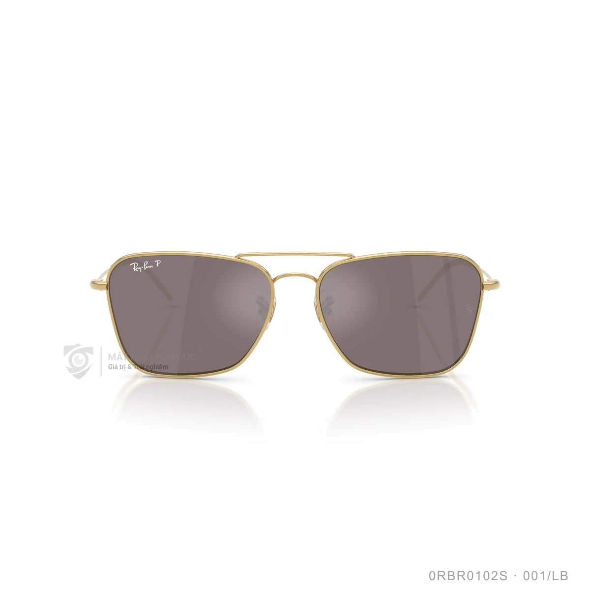 Kính mát Rayban 0RBR0102S - Ảnh 6
