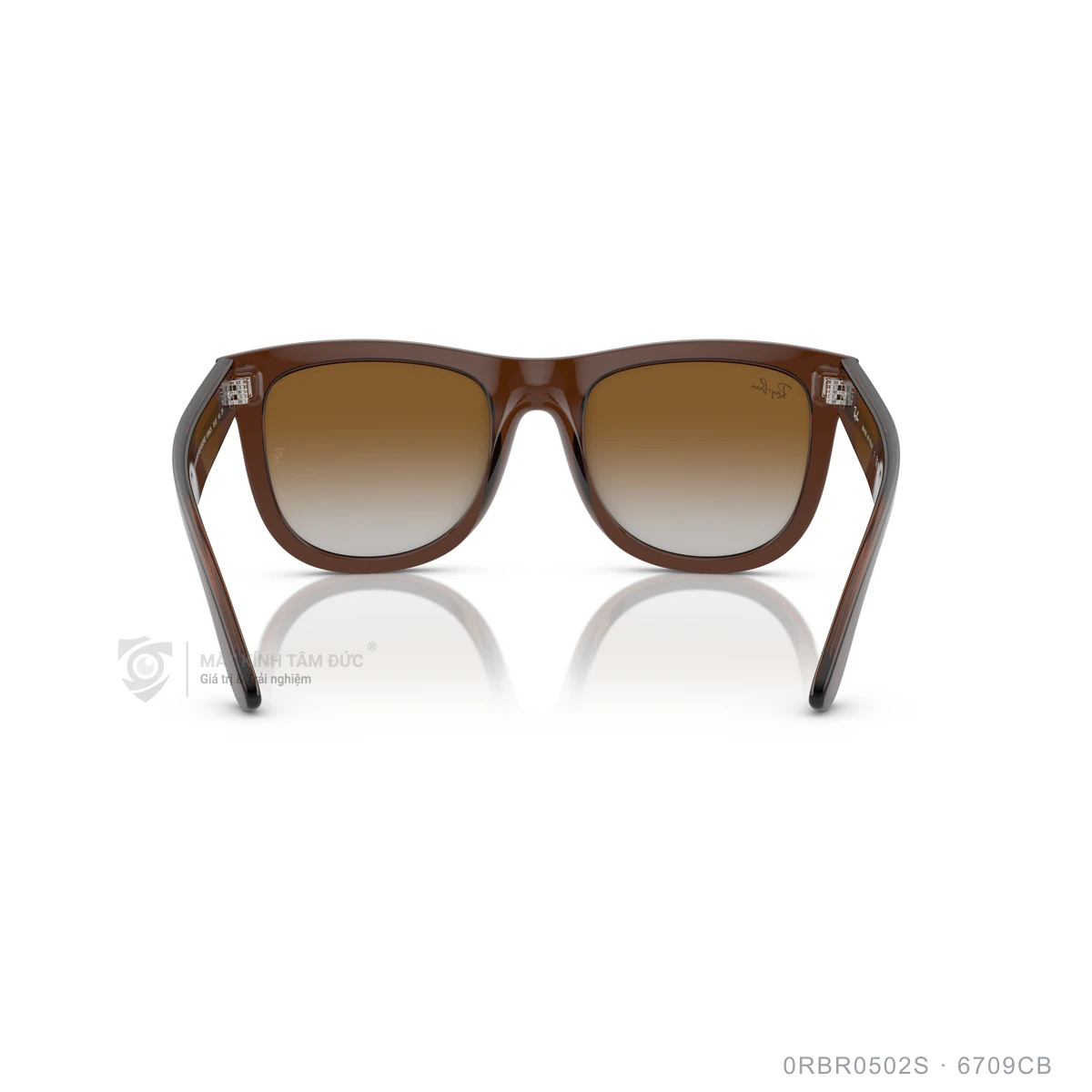 Kính mát Rayban 0RBR0502S - Ảnh 15