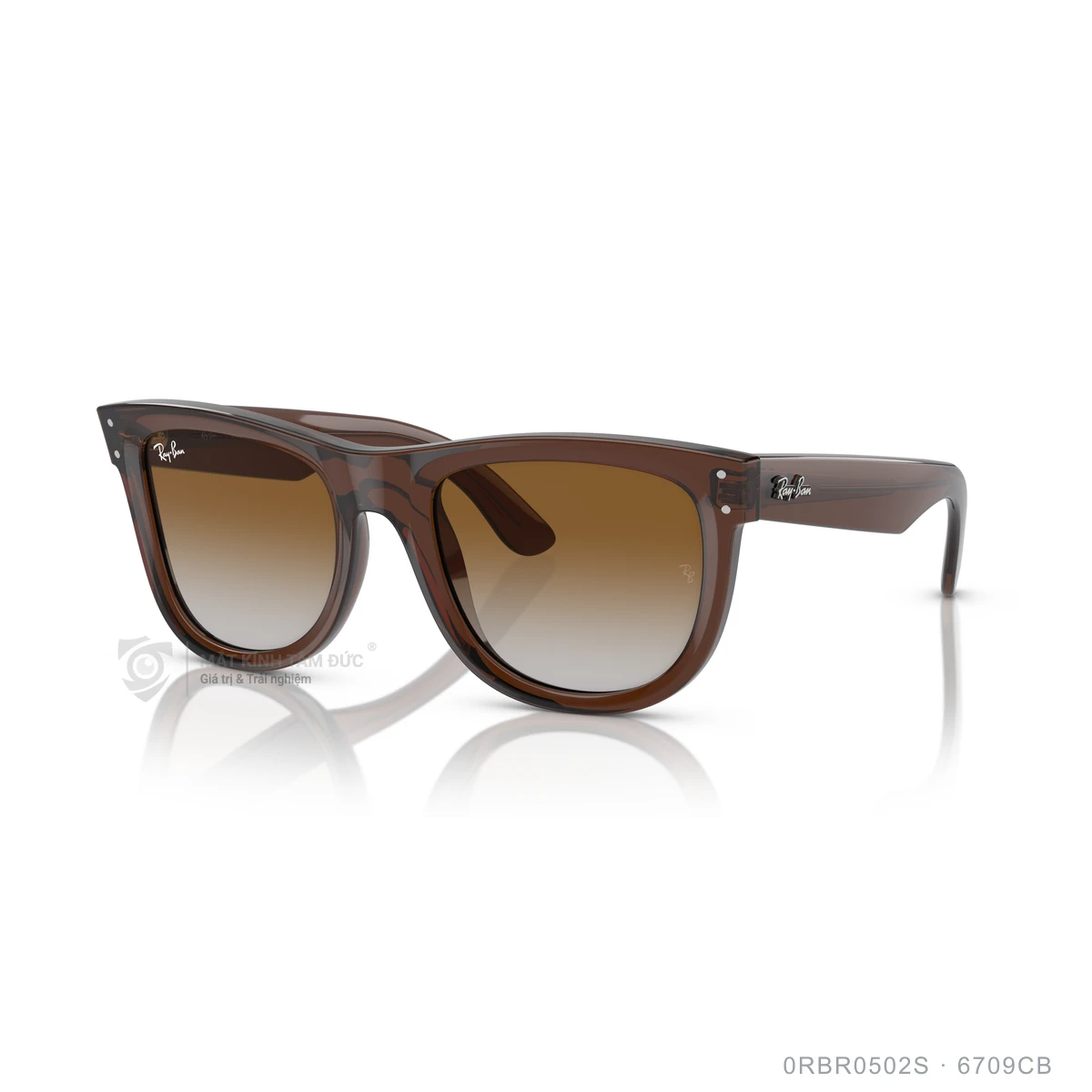 Kính mát Rayban 0RBR0502S - Ảnh 12