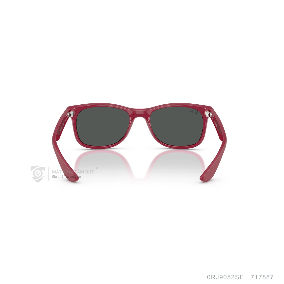 Kính mát Rayban 0RJ9052SF - Ảnh 50