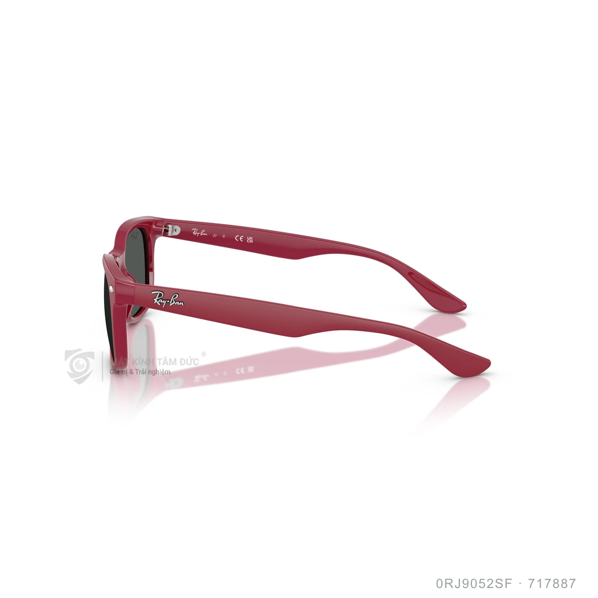 Kính mát Rayban 0RJ9052SF - Ảnh 49