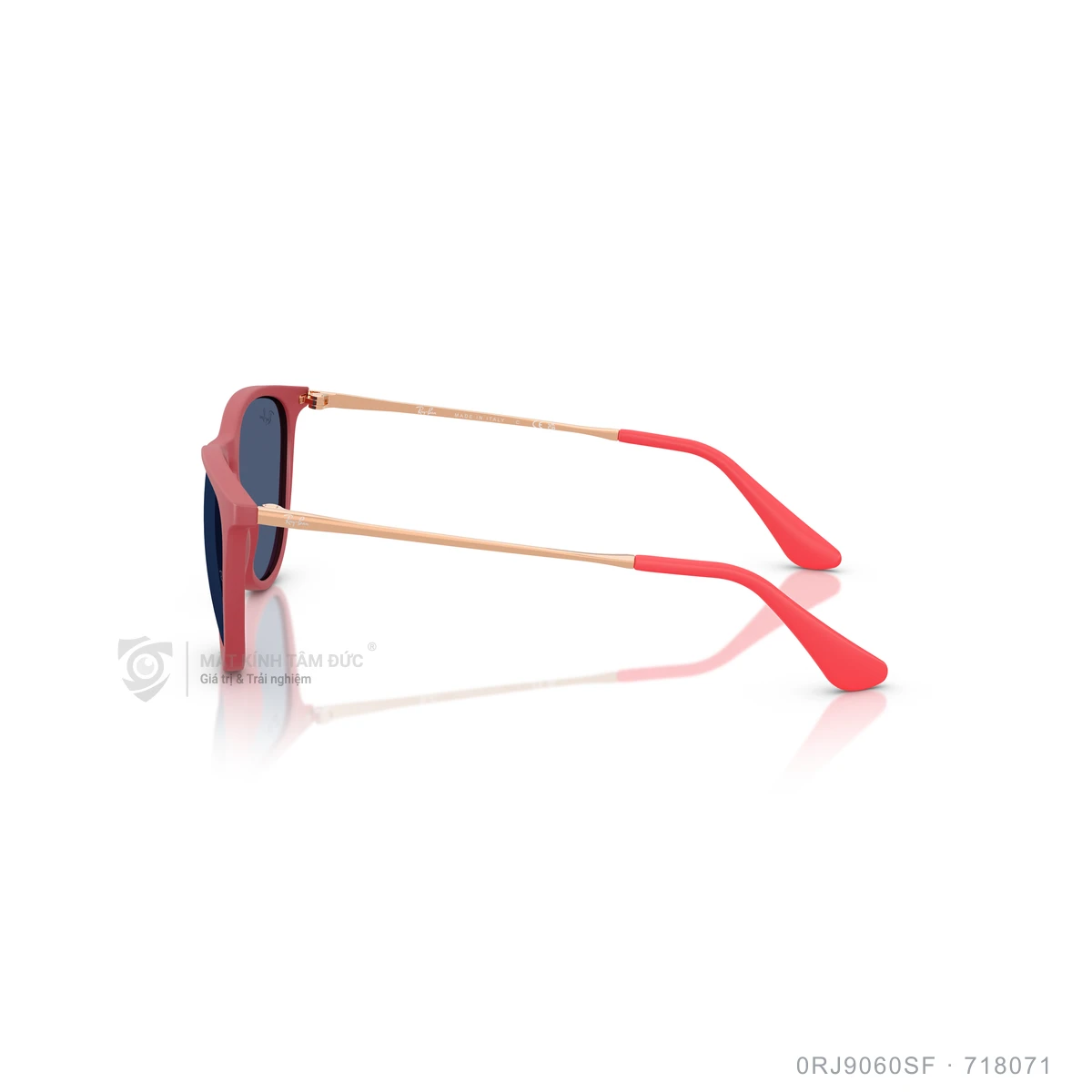 Kính mát Rayban 0RJ9060SF - Ảnh 29