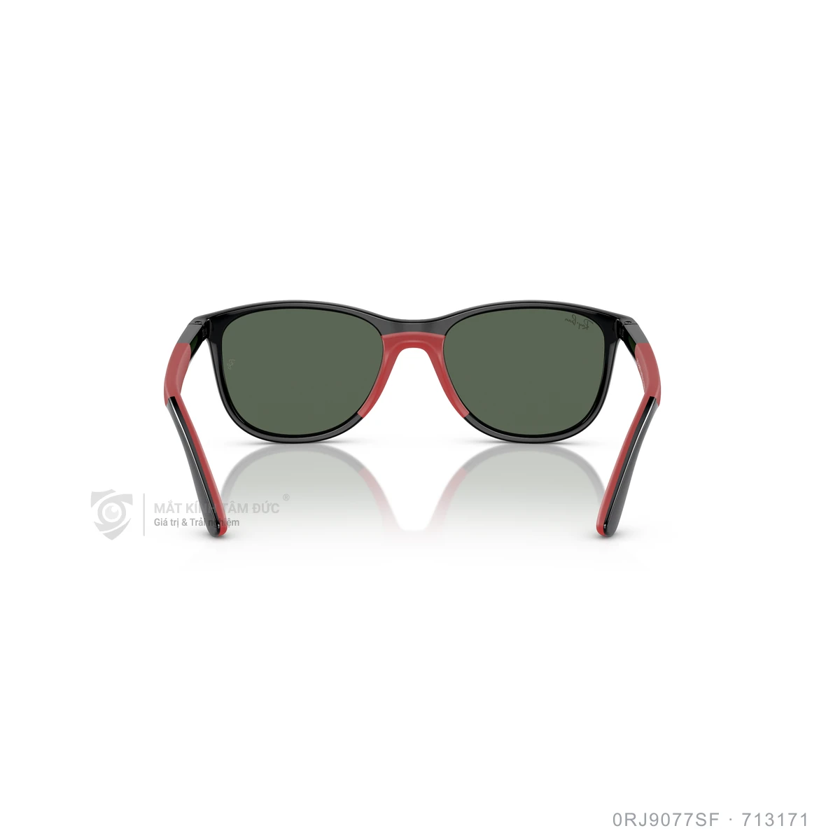 Kính mát Rayban 0RJ9077SF - Ảnh 20