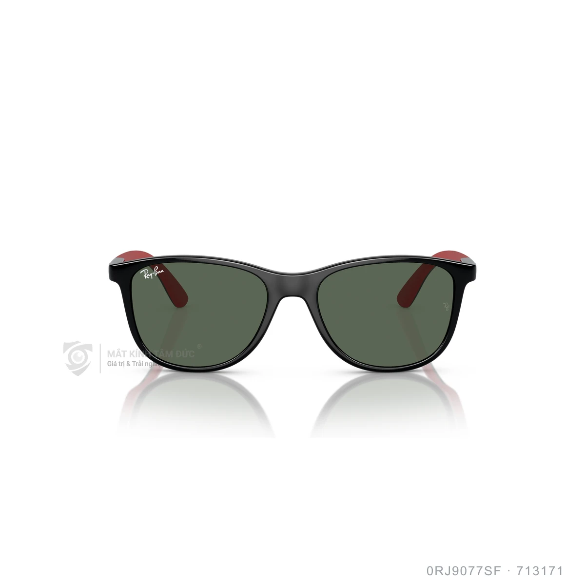 Kính mát Rayban 0RJ9077SF - Ảnh 16