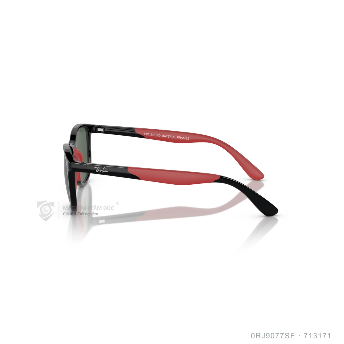 Kính mát Rayban 0RJ9077SF - Ảnh 19