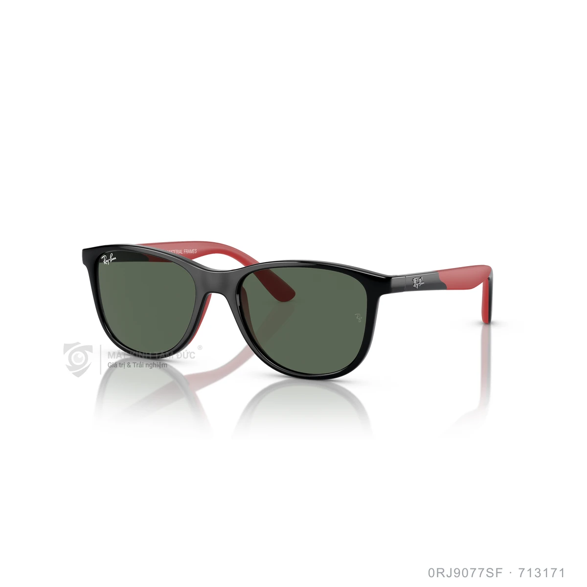 Kính mát Rayban 0RJ9077SF - Ảnh 17