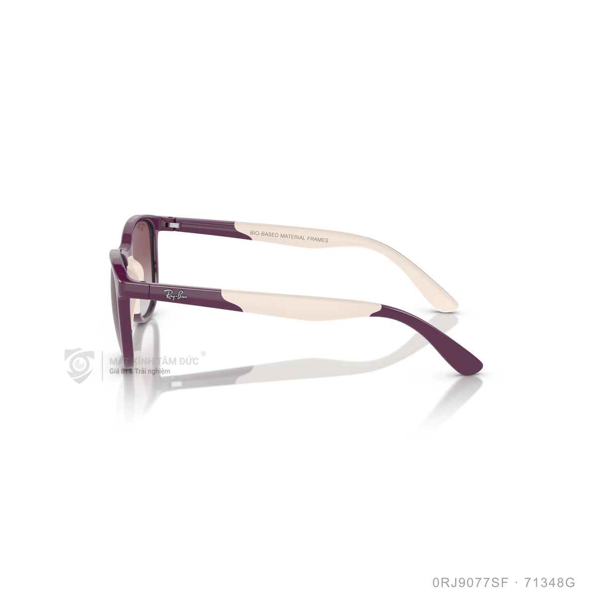 Kính mát Rayban 0RJ9077SF - Ảnh 24