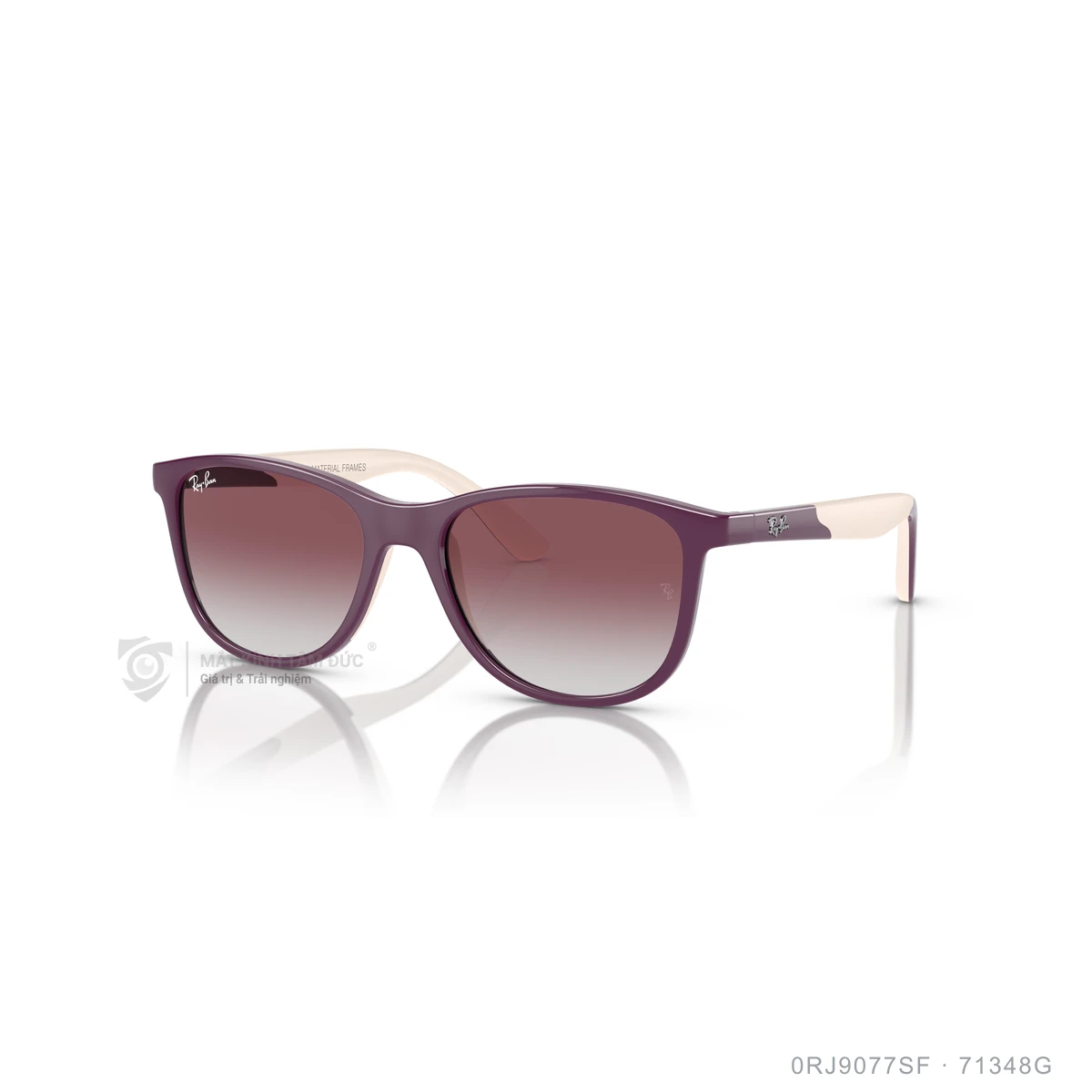 Kính mát Rayban 0RJ9077SF - Ảnh 22