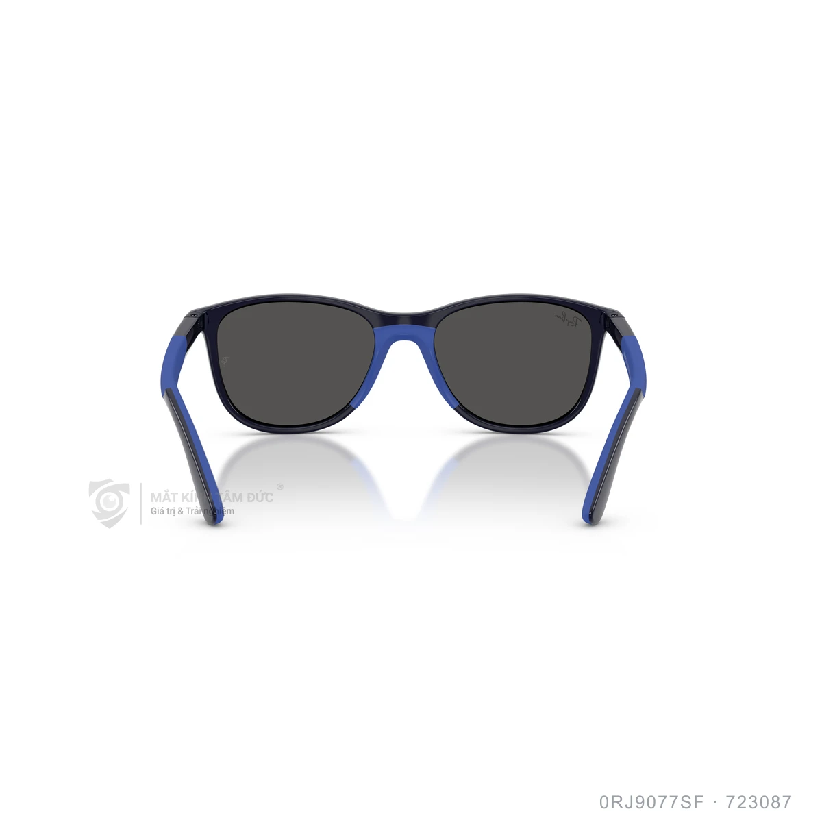 Kính mát Rayban 0RJ9077SF - Ảnh 5