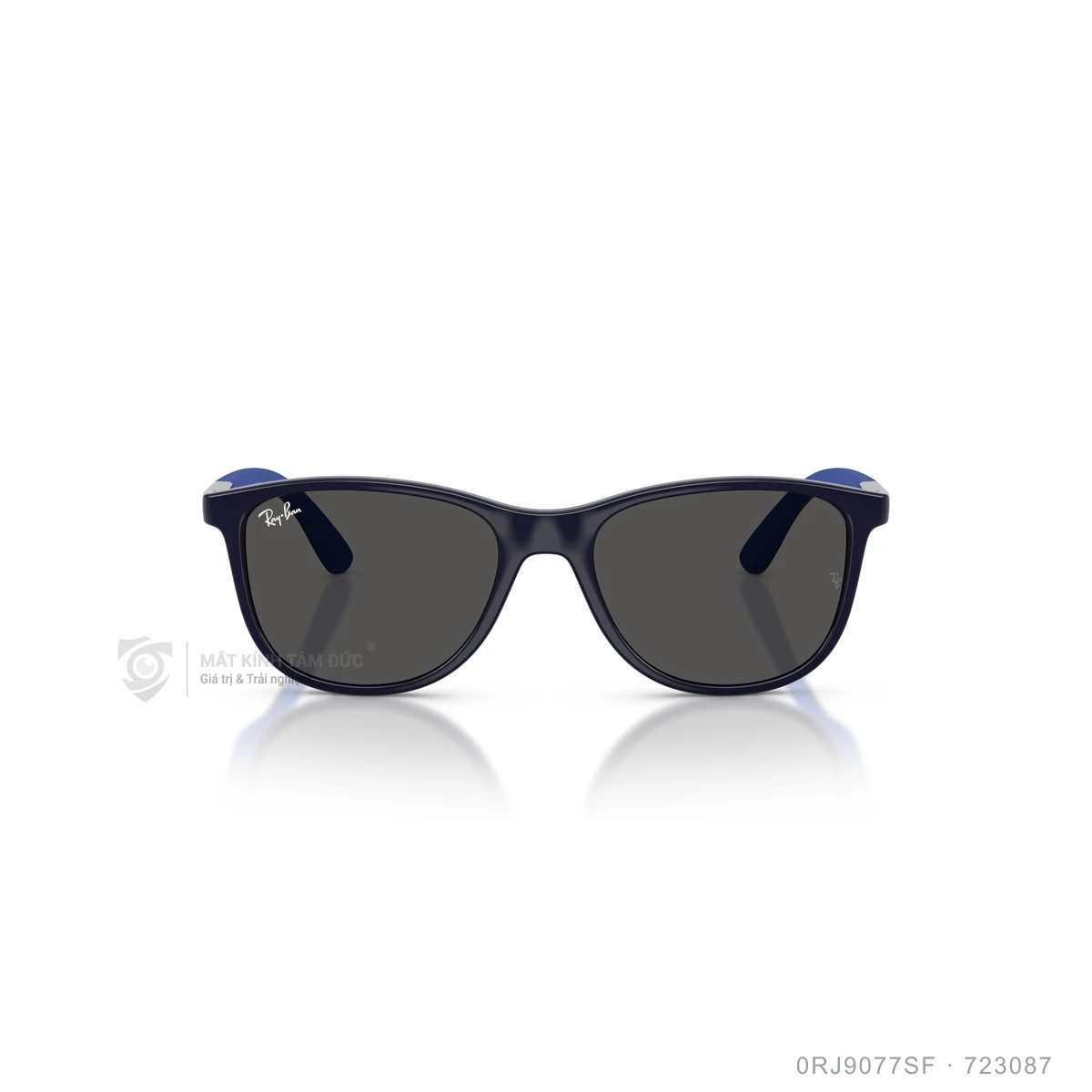 Kính mát Rayban 0RJ9077SF - Ảnh 1